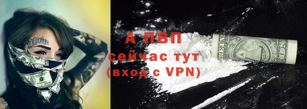 PSILOCYBIN Беломорск