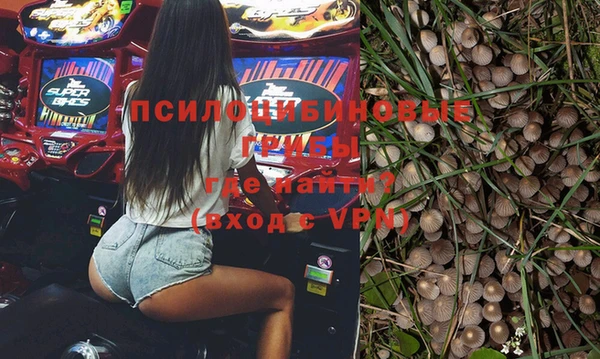 таблы Белокуриха