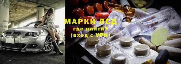 PSILOCYBIN Беломорск