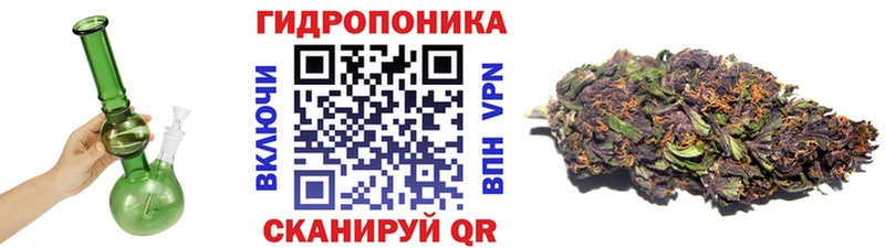 это клад  Котельниково  Конопля White Widow 